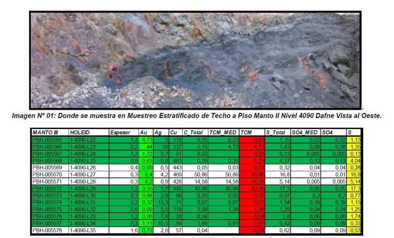 Muestra de roca con mineralización de oro en grafito.