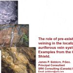 Mapa geológico que muestra los sistemas de venas auríferas y su relación con las estructuras preexistentes en una zona de cizalla.