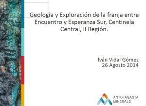 Sección litológica del yacimiento CAN, mostrando la distribución de la mineralización de cobre.