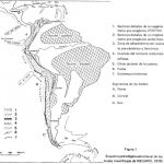 Mapa esquemático de los Andes Centrales mostrando la segmentación en tres zonas principales.