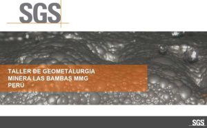 Taller de geometalurgia en Minera Las Bambas con expertos y participantes.