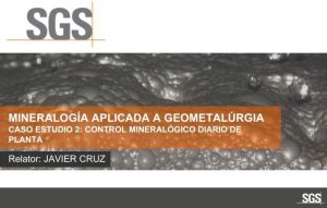 Gráficos de control mineralógico diario mostrando tendencias de minerales clave en el proceso de flotación.