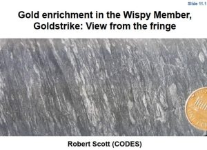 Microscopía de pirita aurífera del Miembro Wispy mostrando bordes ricos en oro.
