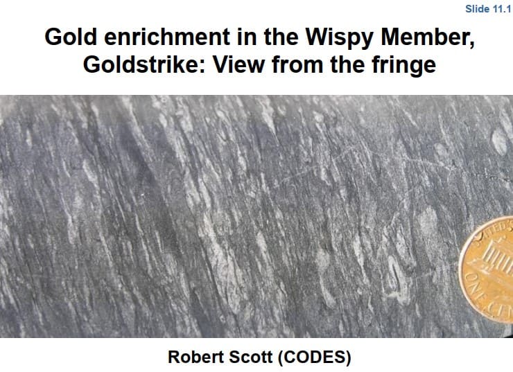 Microscopía de pirita aurífera del Miembro Wispy mostrando bordes ricos en oro.