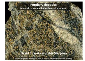 Sección delgada de roca porfírica mostrando diferentes tipos de alteración hidrotermal y vetillas mineralizadas.