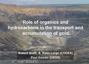 Microfotografía mostrando vénulas de bitumen con enriquecimiento de oro en una roca sedimentaria.