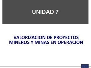 Diagrama ilustrativo de los métodos de valorización de proyectos mineros y minas en operación, incluyendo el flujo de caja descontado, medidas de rentabilidad y análisis de riesgo.