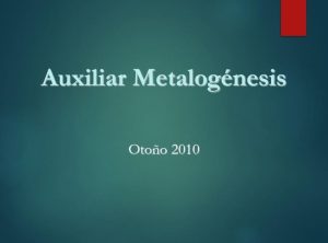 Texturas y estilos de mineralización en muestras de roca. Conceptos clave de metalogénesis.