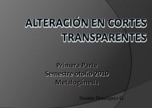 Microscopio petrográfico mostrando un corte delgado de roca con minerales alterados y sus propiedades ópticas como color, pleocroísmo, clivaje y colores de interferencia.