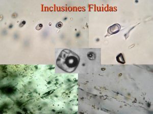 Microfotografía de inclusiones fluidas en un cristal de cuarzo mostrando burbujas de líquido y vapor.