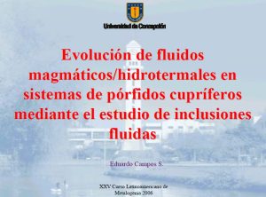 Microfotografía mostrando inclusiones fluidas atrapadas en un cristal de cuarzo, revelando burbujas de líquido y/o vapor en su interior.